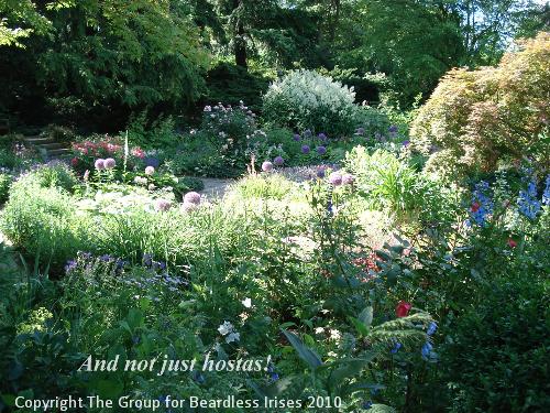 OW G31 Garden of friend with hosta collection